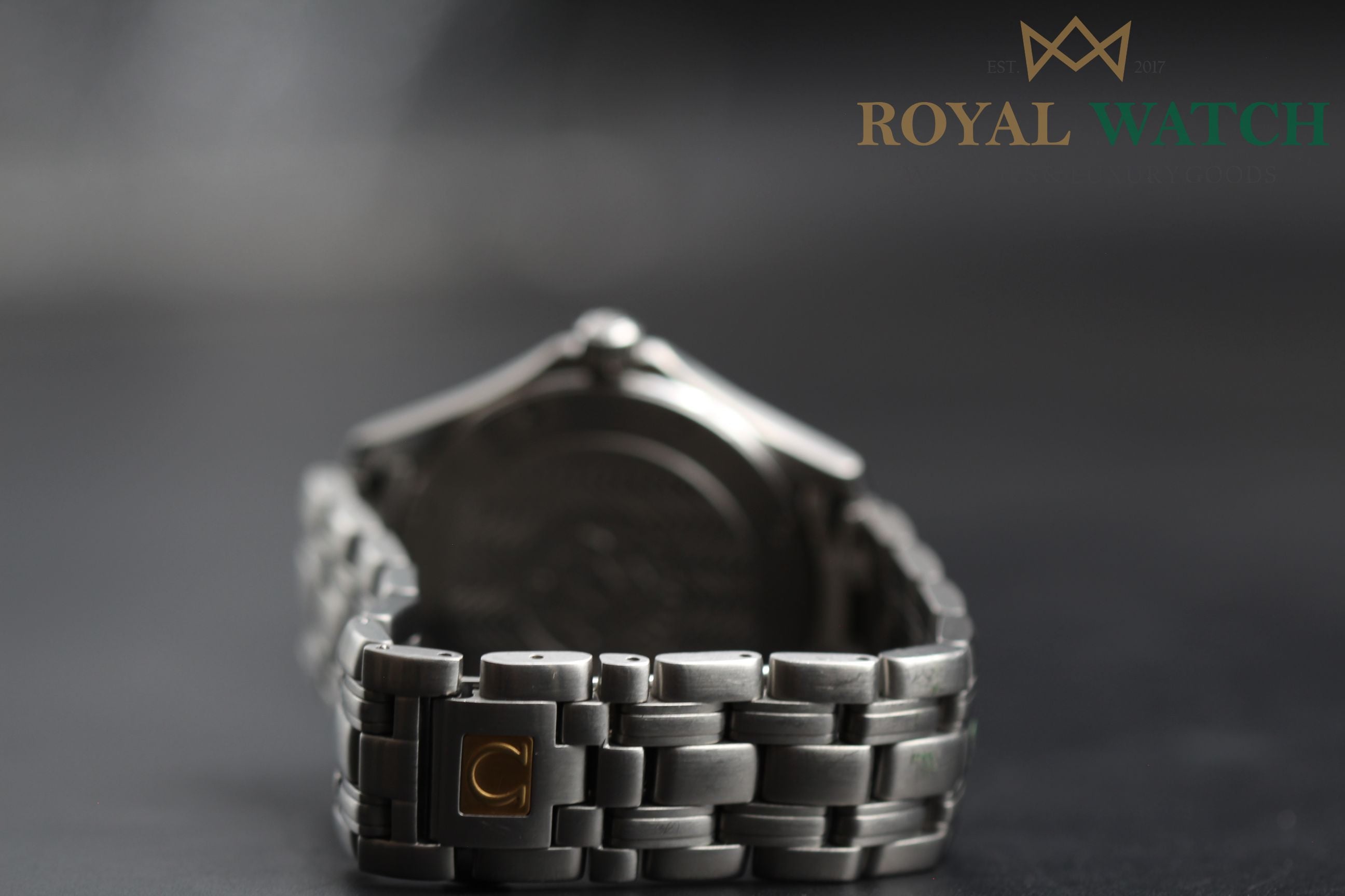 Omega Seamaster 120 - 2521.81.00 (Pre-Owned)