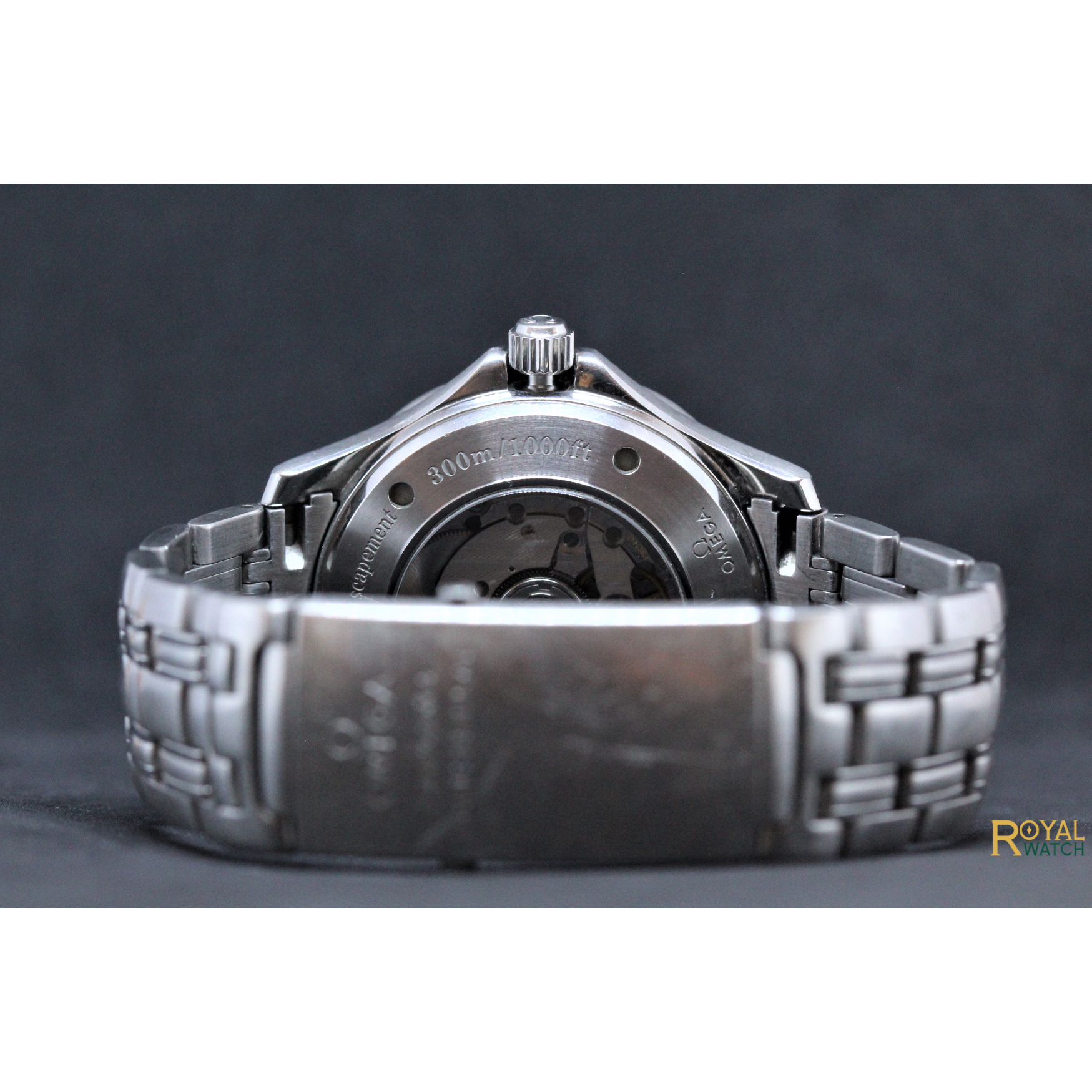Omega Seamaster Diver 300 Co-Axial GMT (Pre-Owned)