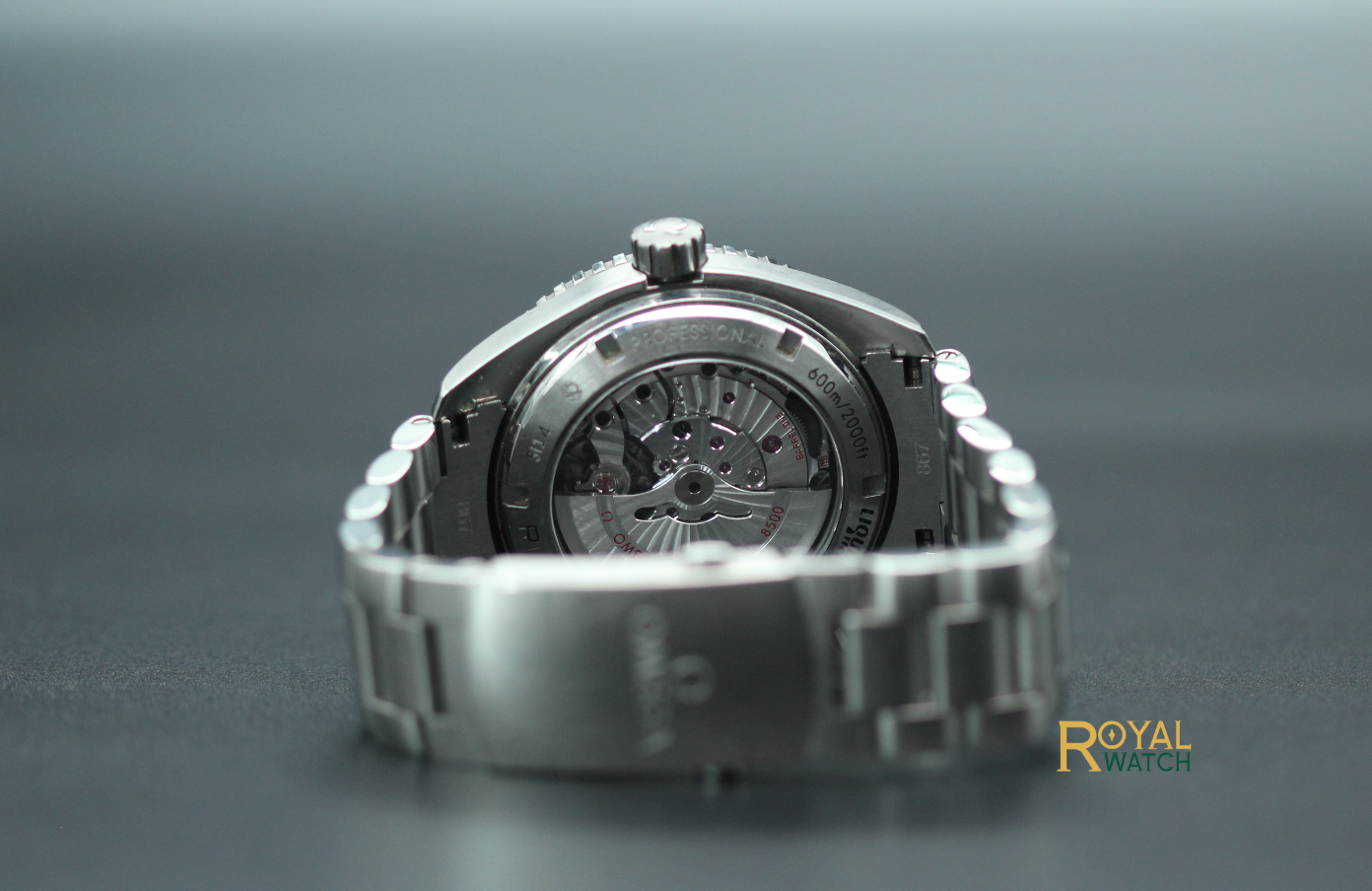 Omega Seamaster Planet Ocean 600m (Pre-Owned)