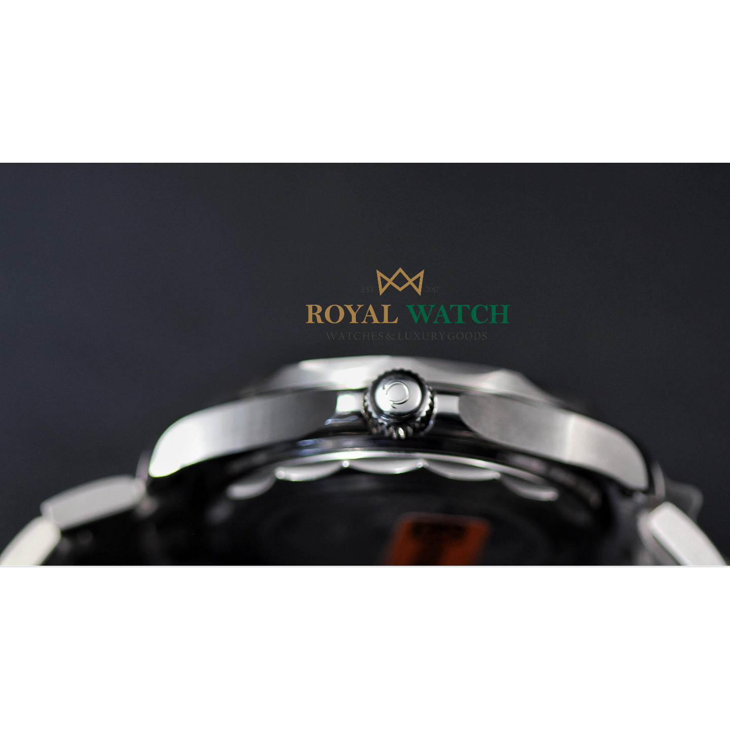 Omega Seamaster Diver 300M 42 mm SS Blue Dial (New)