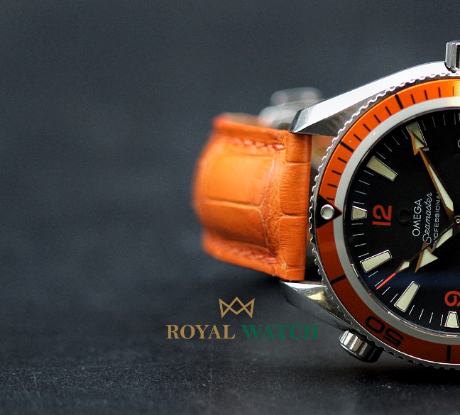 Omega Seamaster Planet Ocean 2909.50.38 (Pre-Owned)