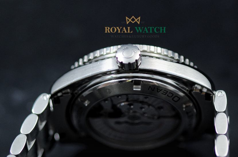 Omega Planet Ocean 600M Co‑Axial Chronometer 45.5 mm (Pre-Owned)