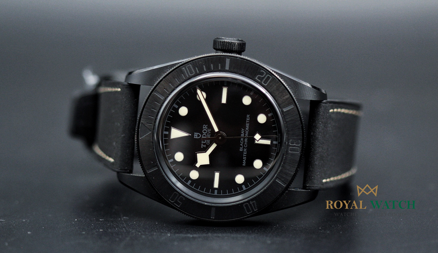 Tudor Black Bay Ceramic (Pre-Owned)