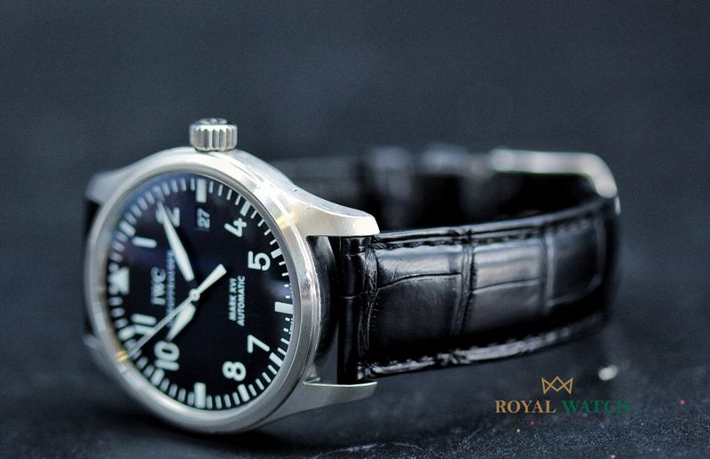 Iwc xvi 2025